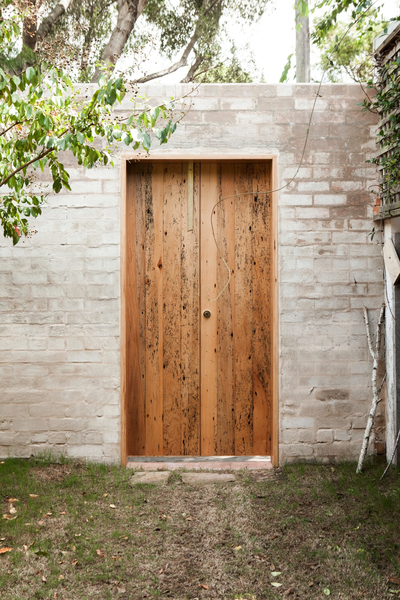 Weathered wooden door in a light stone wall surrounded by climbing ivy and tree branches.