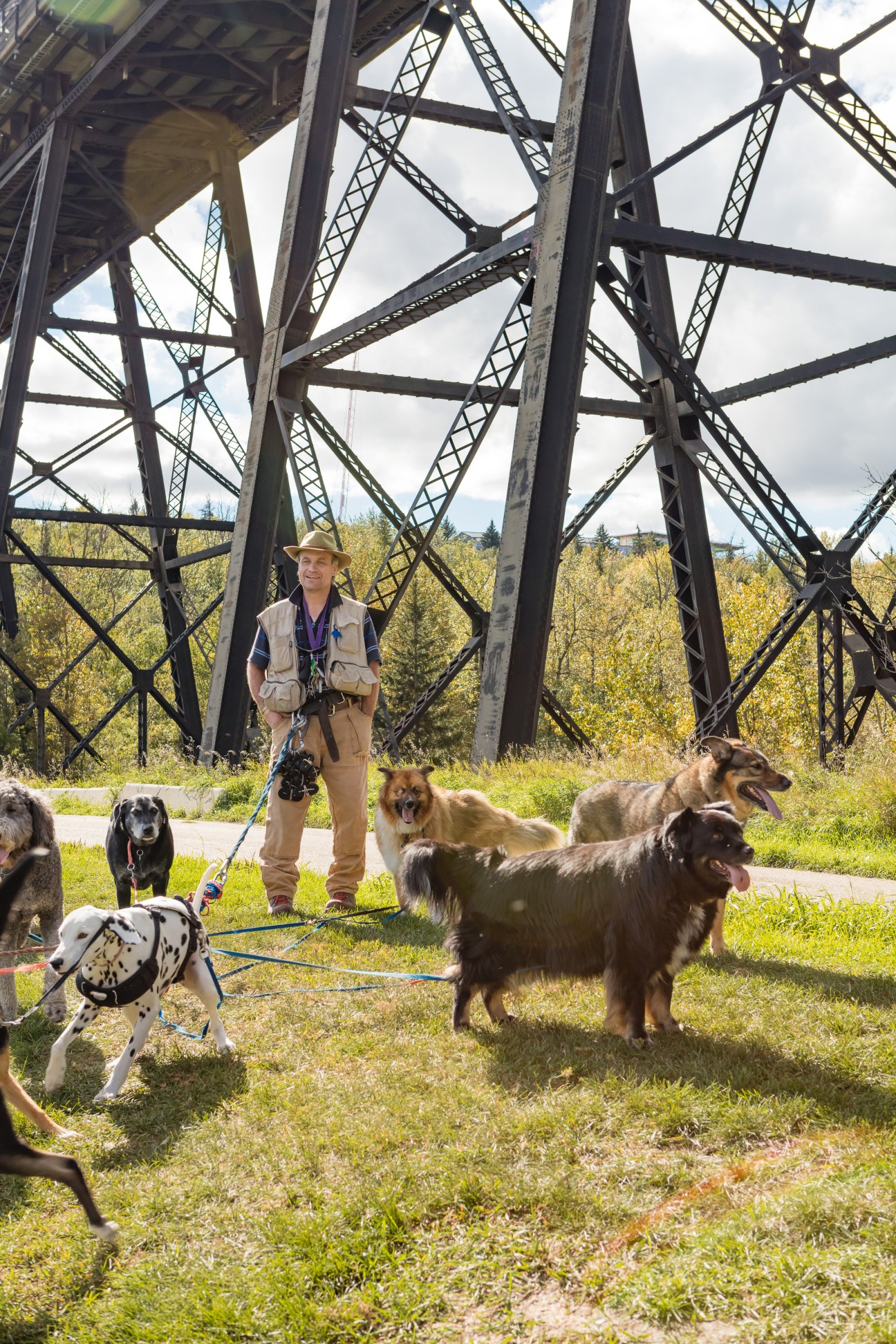 Dog walker with multiple dogs on leashes beneath steel railway bridge structure