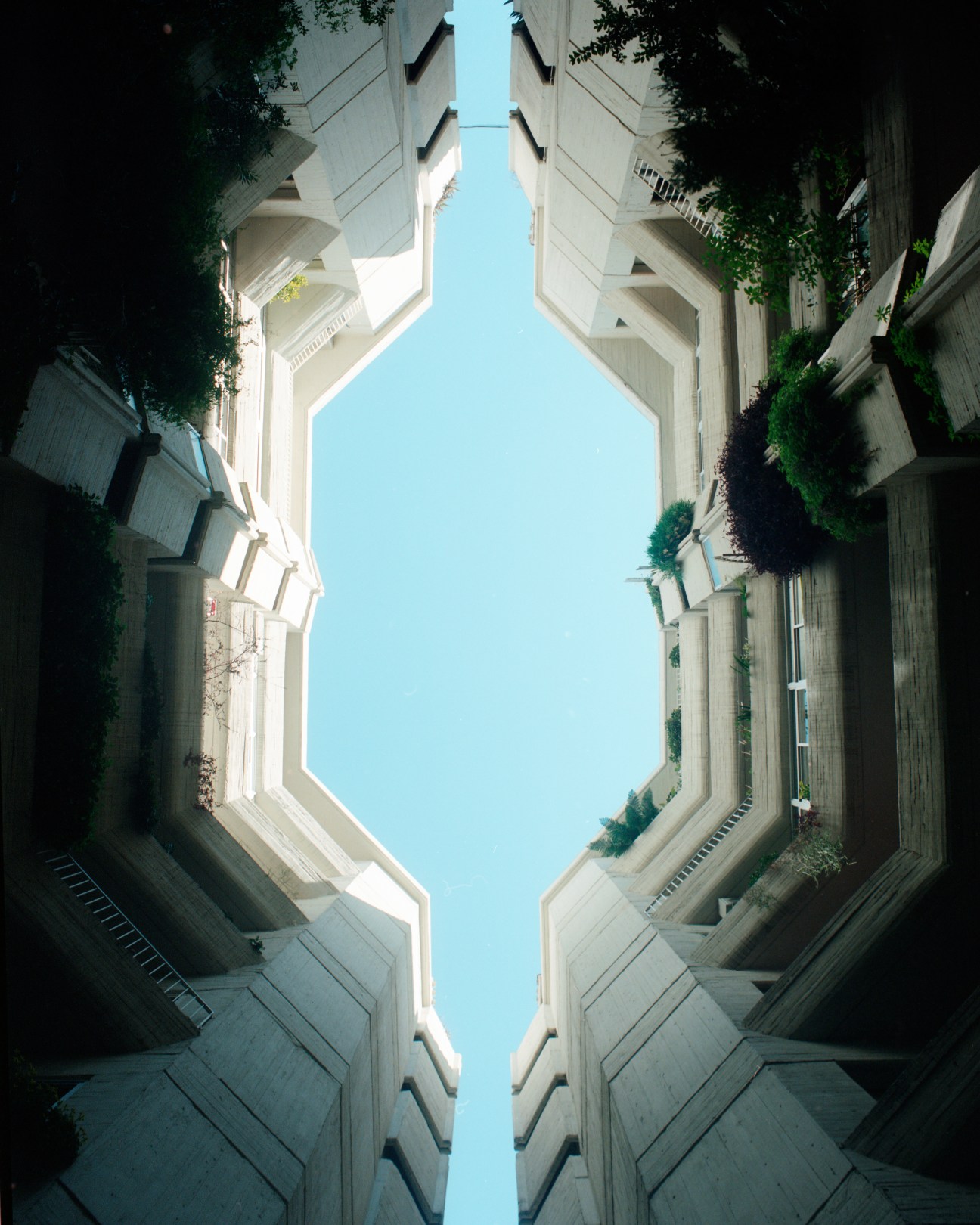 Upward view of concrete buildings with climbing vines framing a strip of blue sky at Edificio Princesa's interior plaza.