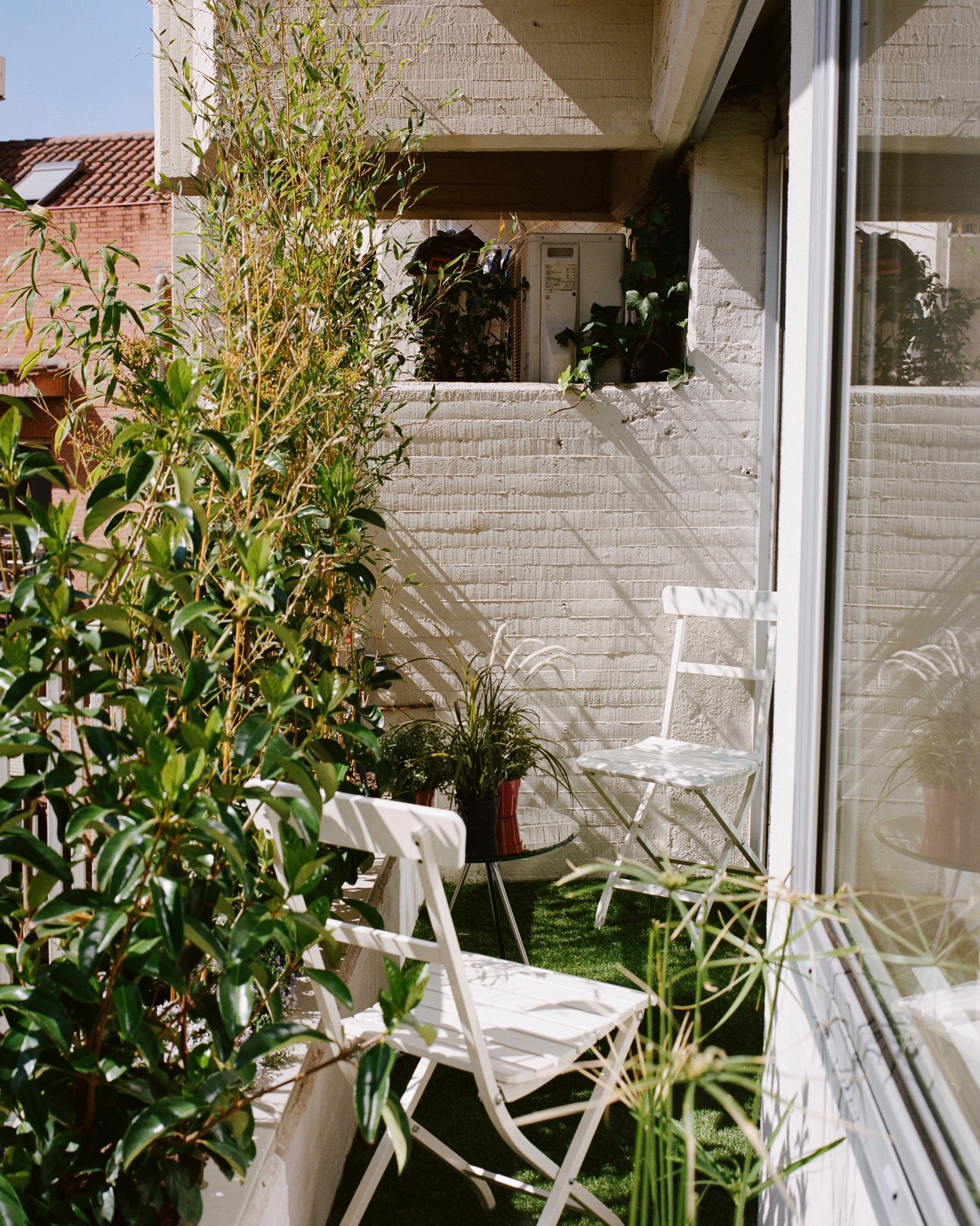 Sunlit balcony with white folding chairs, potted plants and climbing vines against white brick wall.