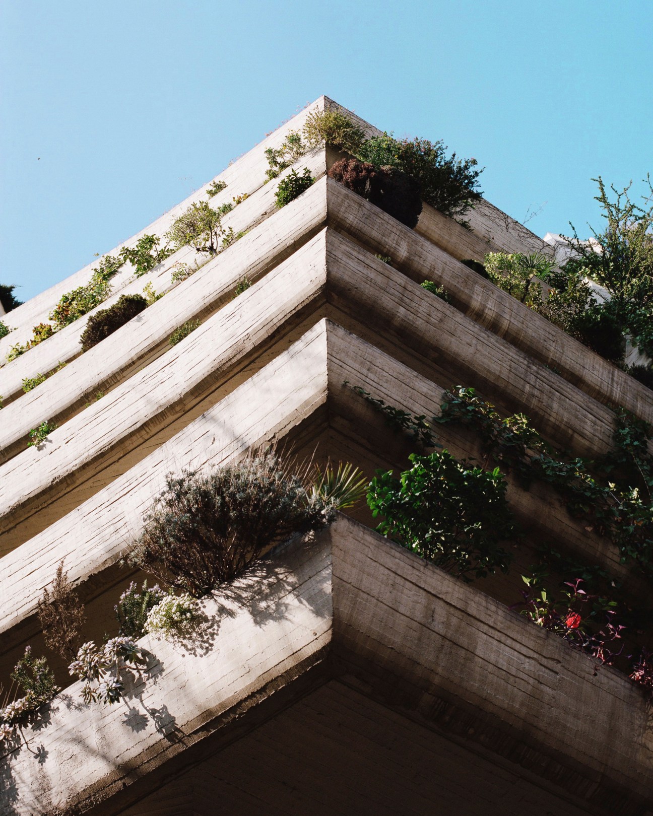 Concrete corner of Edificio Princesa showing brutalist architecture with vegetation growing on stepped balconies against blue sky.