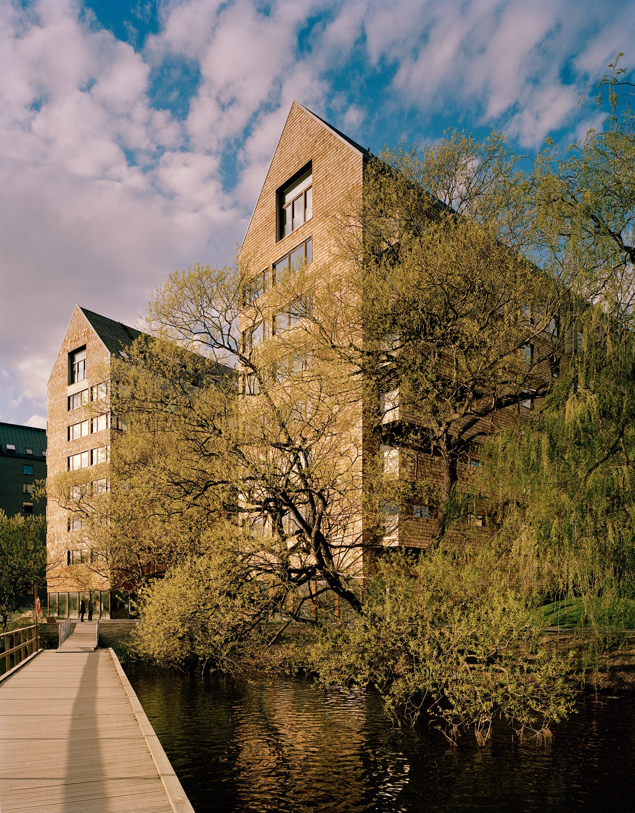 Wooden apartment building with cedar-clad facade beside a waterfront boardwalk and willow trees.