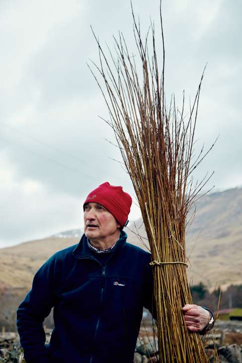 Joe Hogan holding freshly harvested willow stalks in rural Ireland landscape.