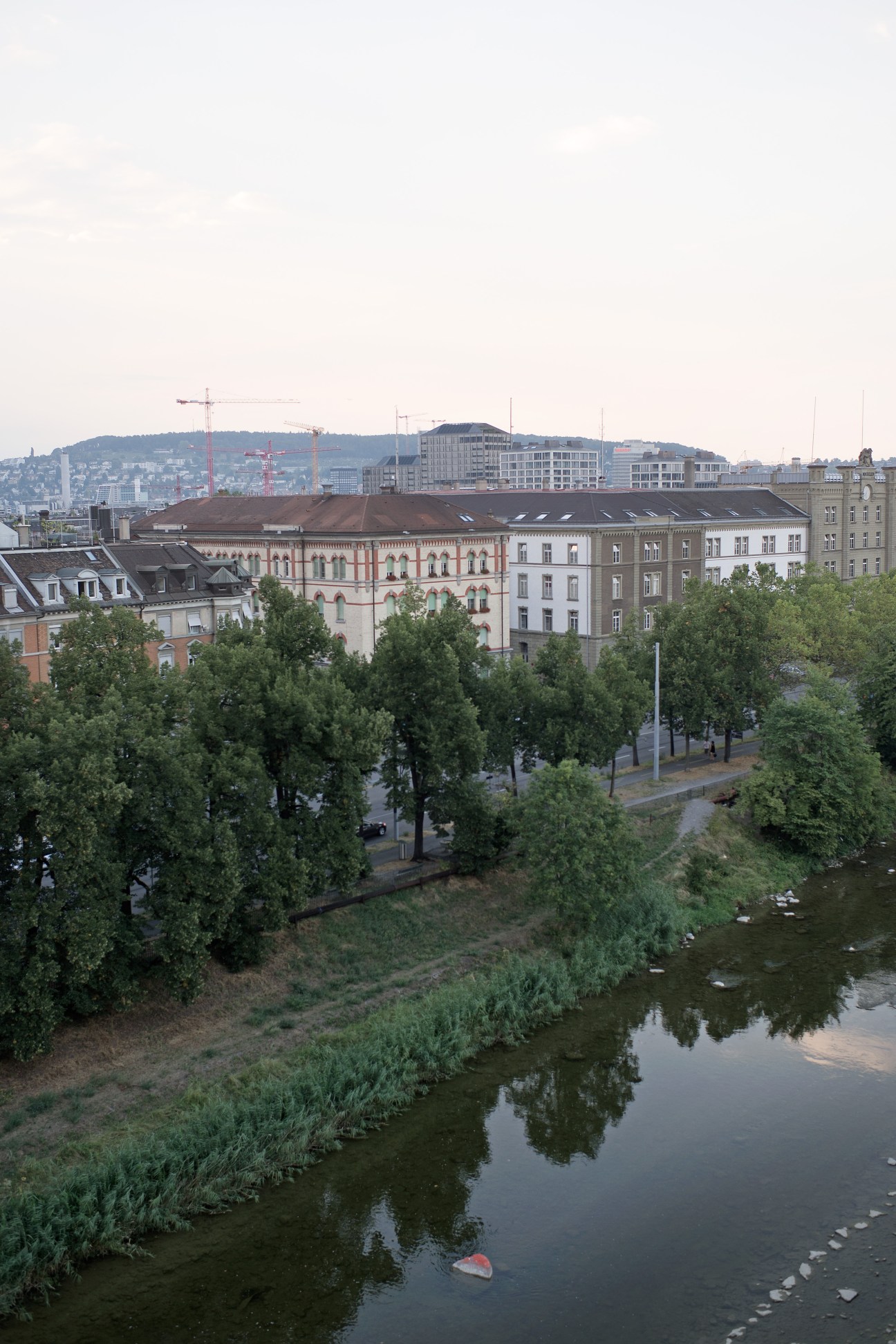 River lined with trees and vegetation overlooking Zurich's Kreis 4 district with residential and commercial buildings against a hillside backdrop.