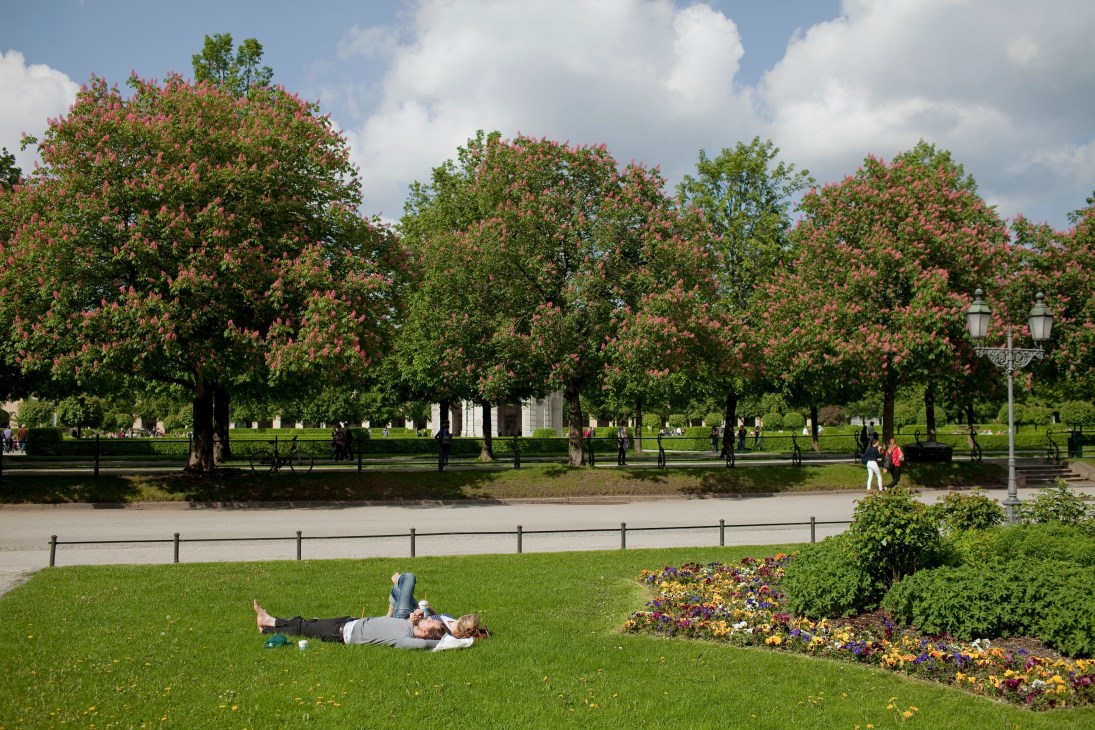 Person lying on grass in Munich's Hofgarten with blooming trees and flowerbeds.