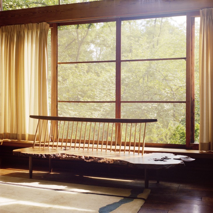 Conoid bench with elm burl and walnut back displayed in a sunlit room with large windows overlooking forest.