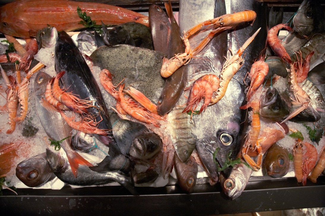 Fresh seafood including tuna, shrimp and local fish displayed on ice at a Naples trattoria.