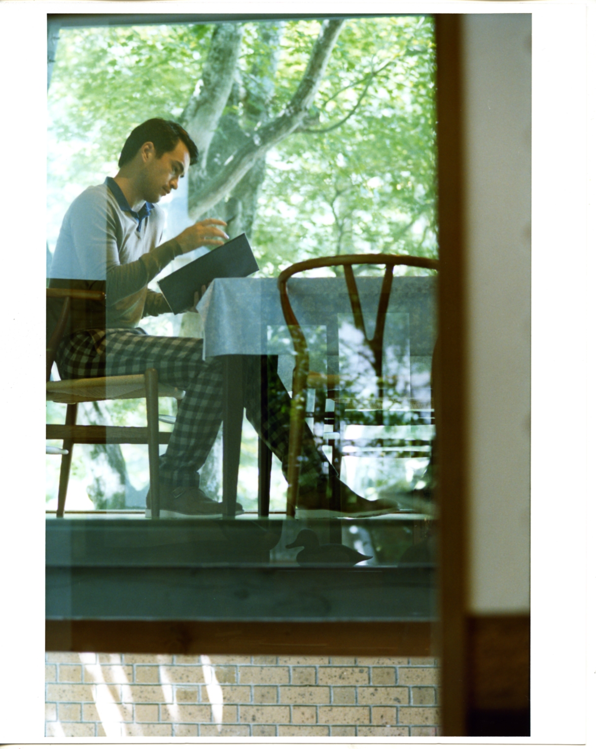 Man wearing Bottega Veneta jumper seated at café table with lush green foliage visible through window behind him.