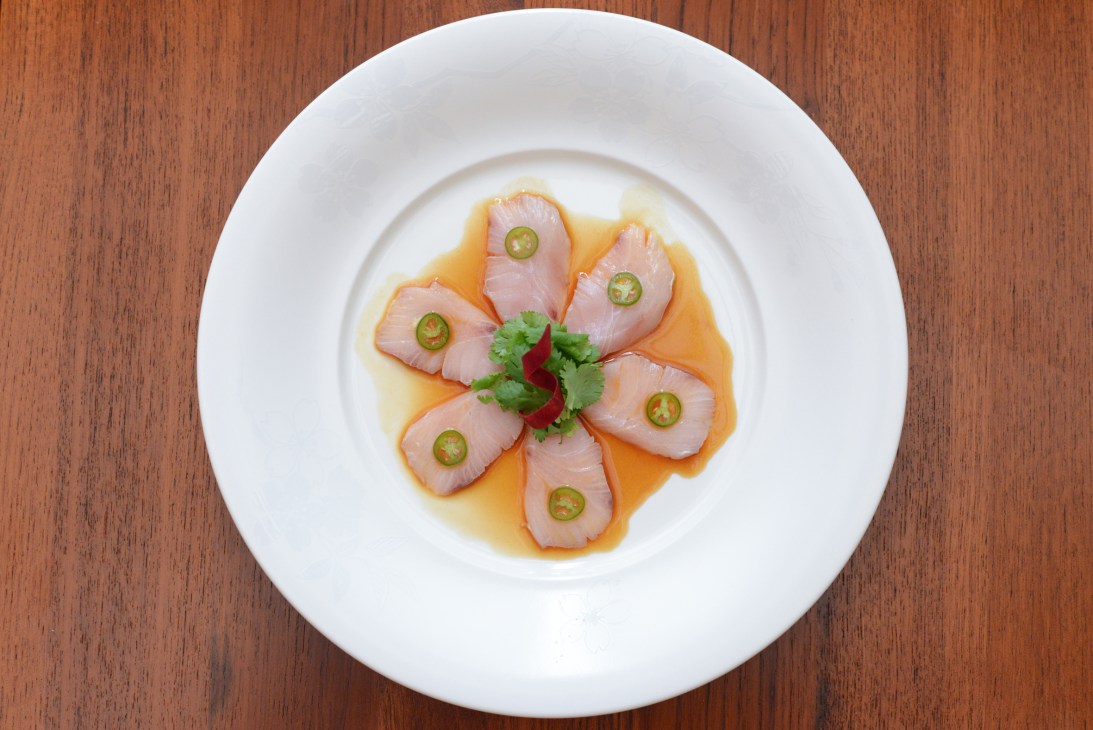 Yellowtail tuna sashimi arranged on white plate with sliced jalapeños and cilantro garnish on wooden table