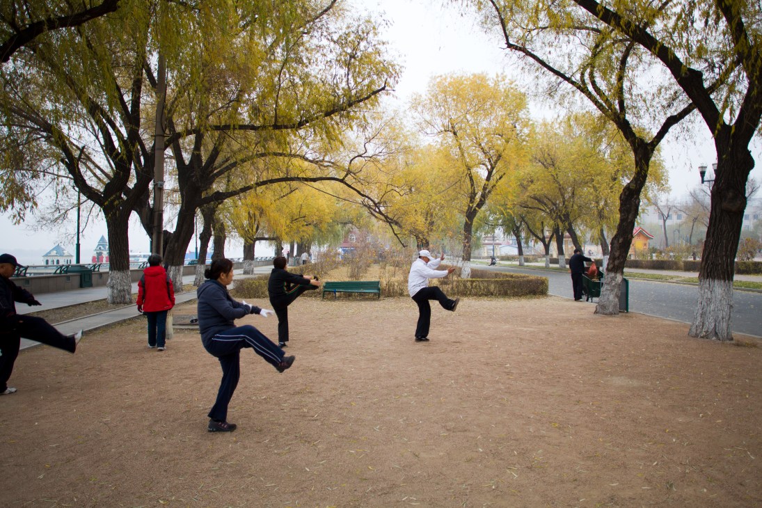 People practicing tai chi in a park with large willow trees along a riverside in Harbin.