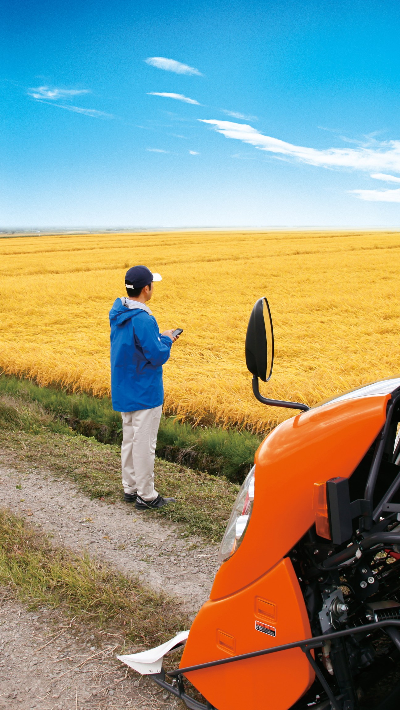 Person in blue jacket standing in golden wheat field holding smartphone, monitoring crops with Kubota KSAS device.