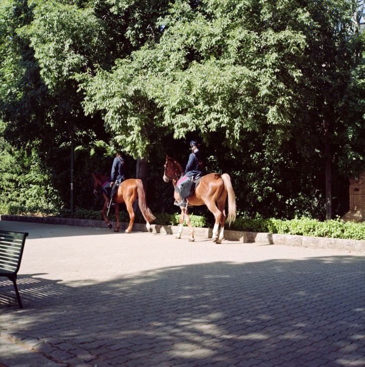 Two mounted police officers on brown horses ride through a sun-dappled paved square surrounded by lush green trees in Palermo's Giardino Inglese.