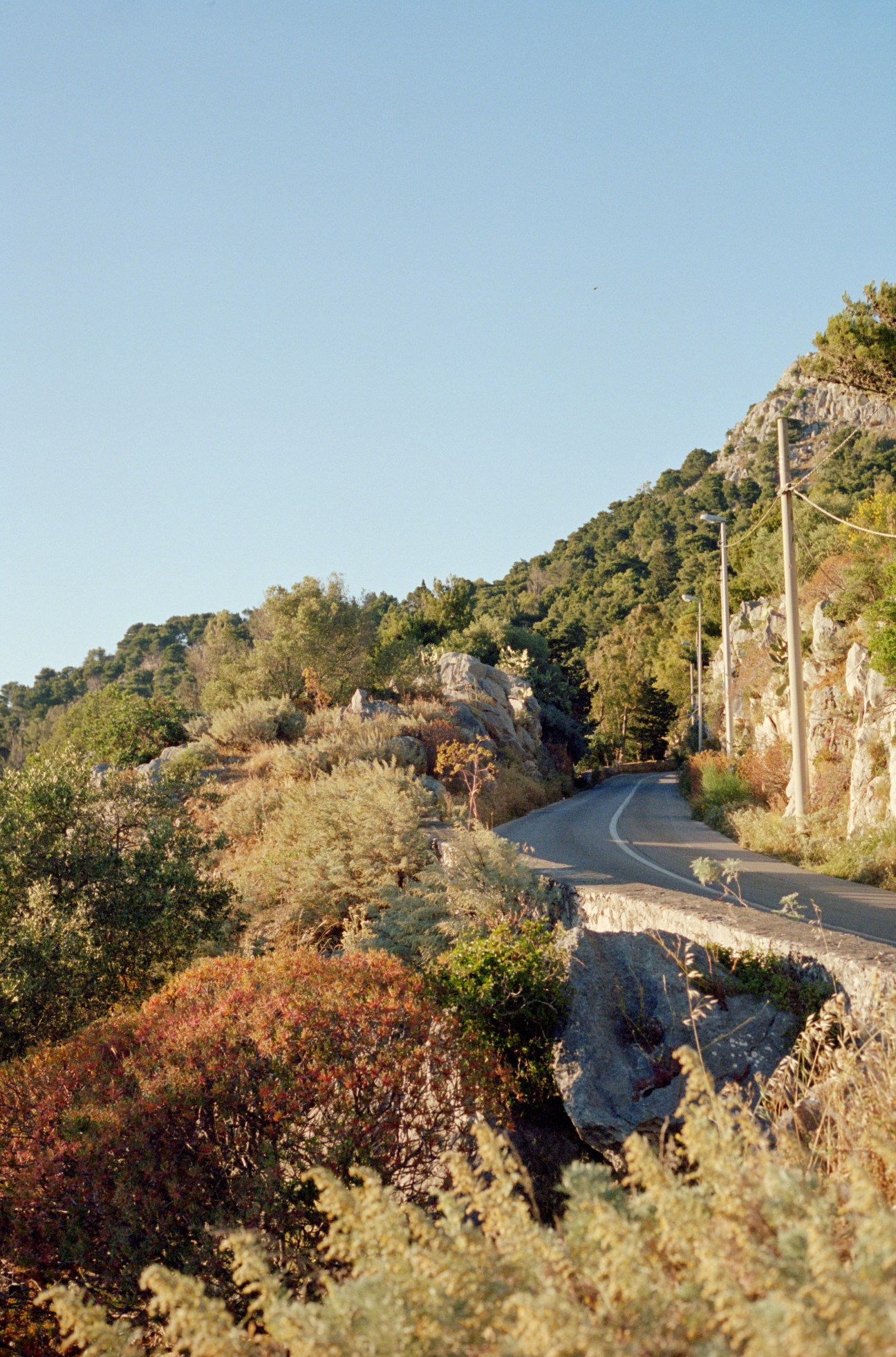 Winding road through Mediterranean hillside vegetation with Monte Pellegrino mountain in background.