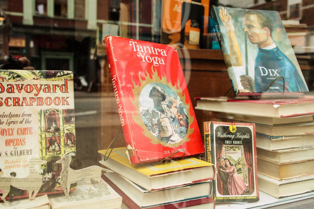 Vintage books displayed in The Paper Hound bookshop window, including Tantra Yoga and Wuthering Heights.