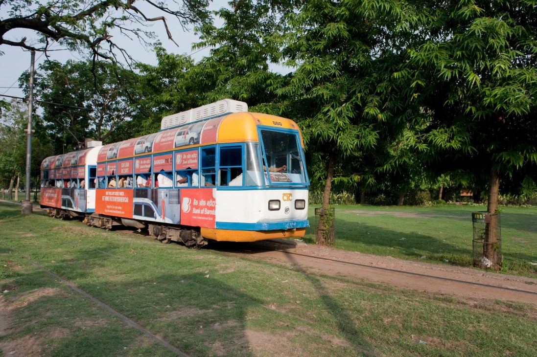 A colorful red, blue and yellow tramcar with passengers visible through windows, running on tracks through a tree-lined park area in Kolkata.