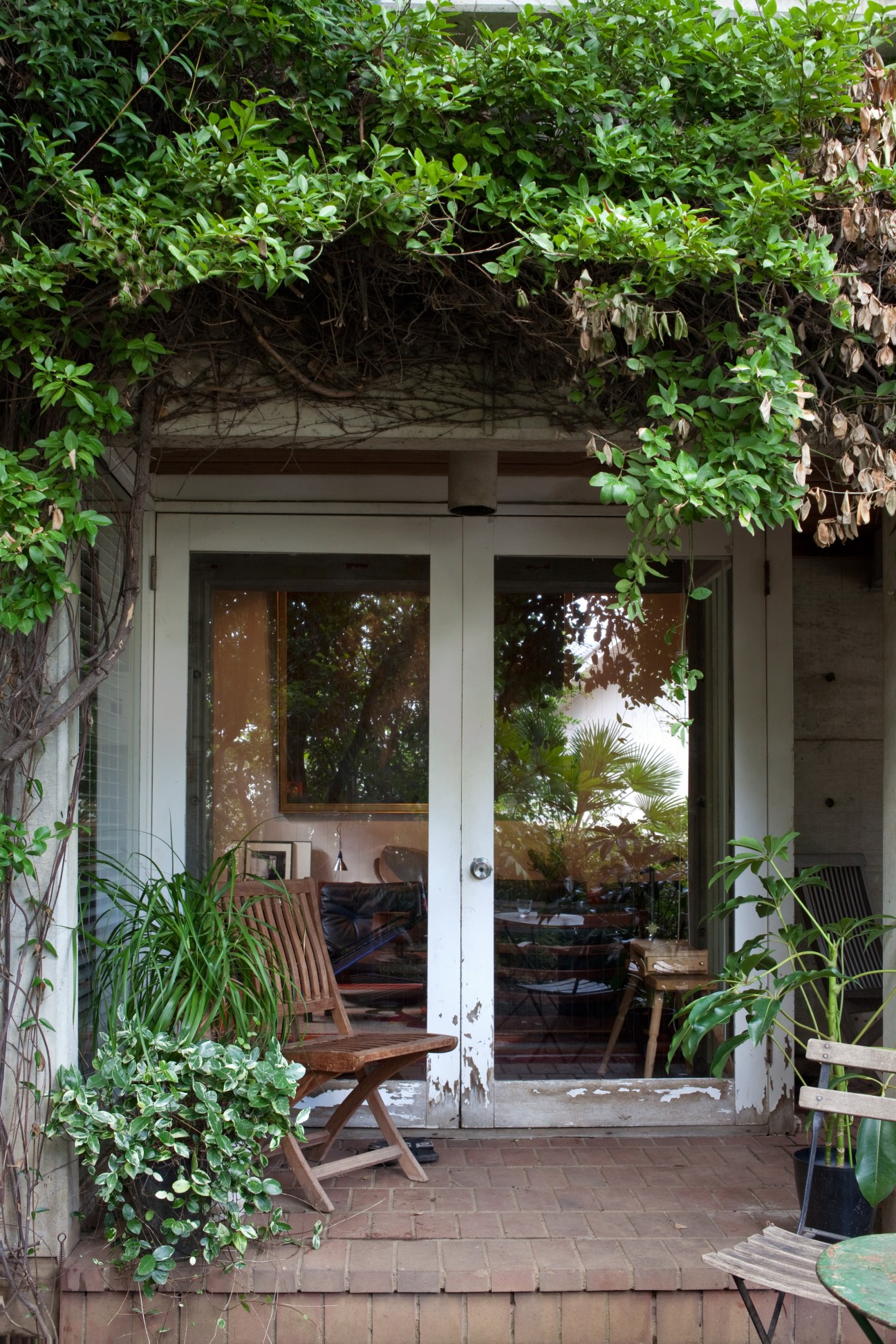 Glass doors open to a vine-covered terrace with wooden chairs and lush green garden vegetation