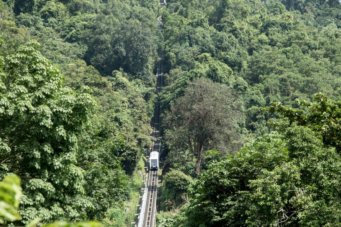 Funicular railway car ascending through dense tropical forest on Penang Hill.