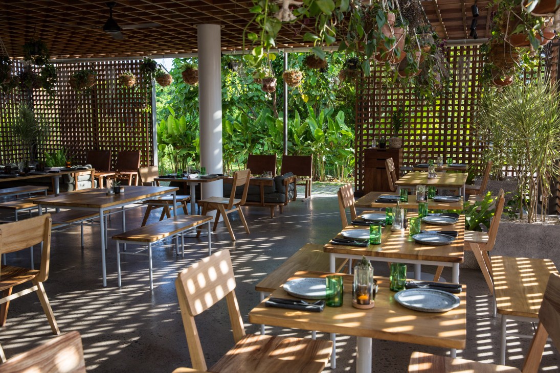 The Slow hotel dining room with wooden tables, chairs, latticed screens and lush green plants overhead.