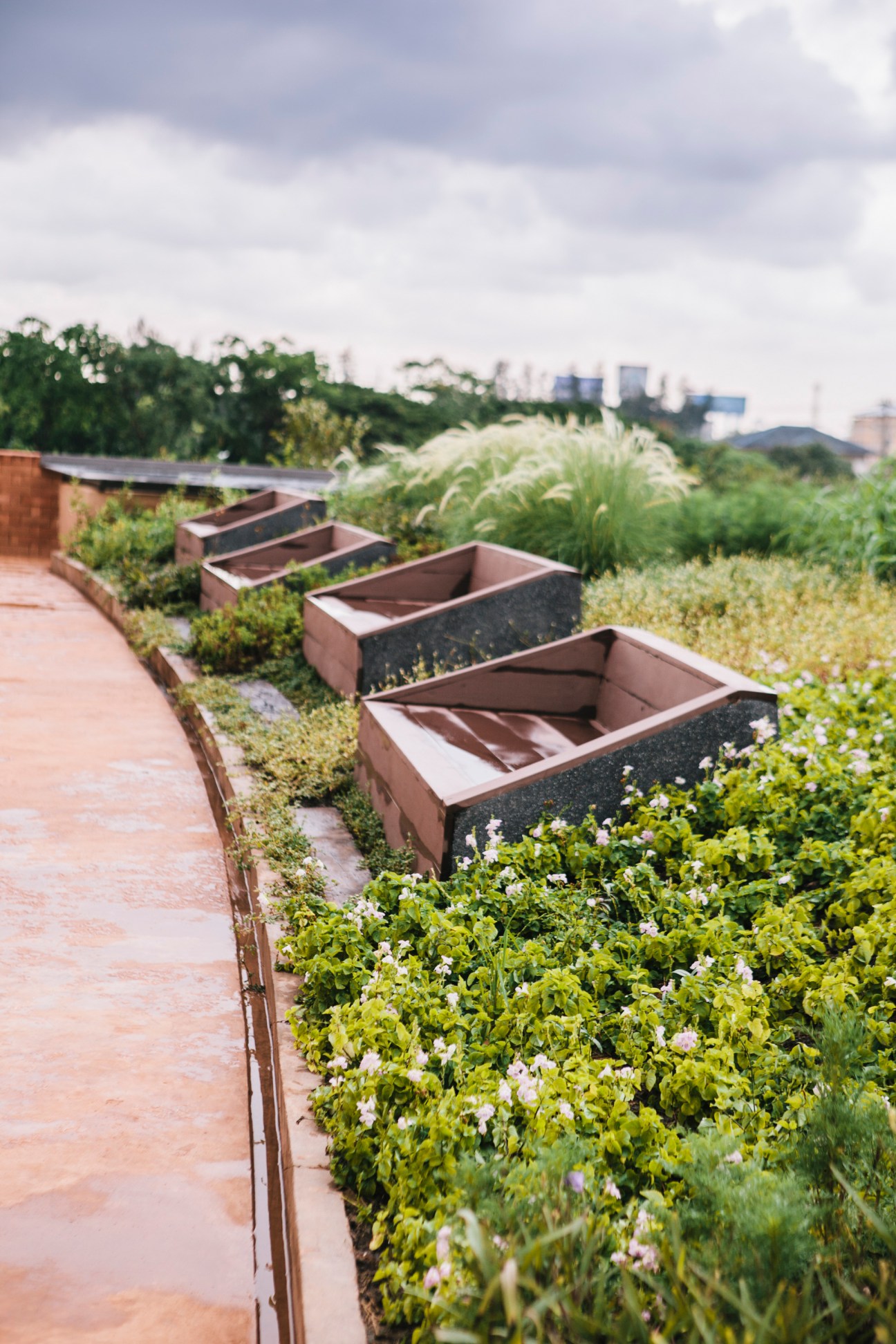 Rooftop garden with planted beds, metal planter boxes, and ornamental grasses overlooking a cityscape.