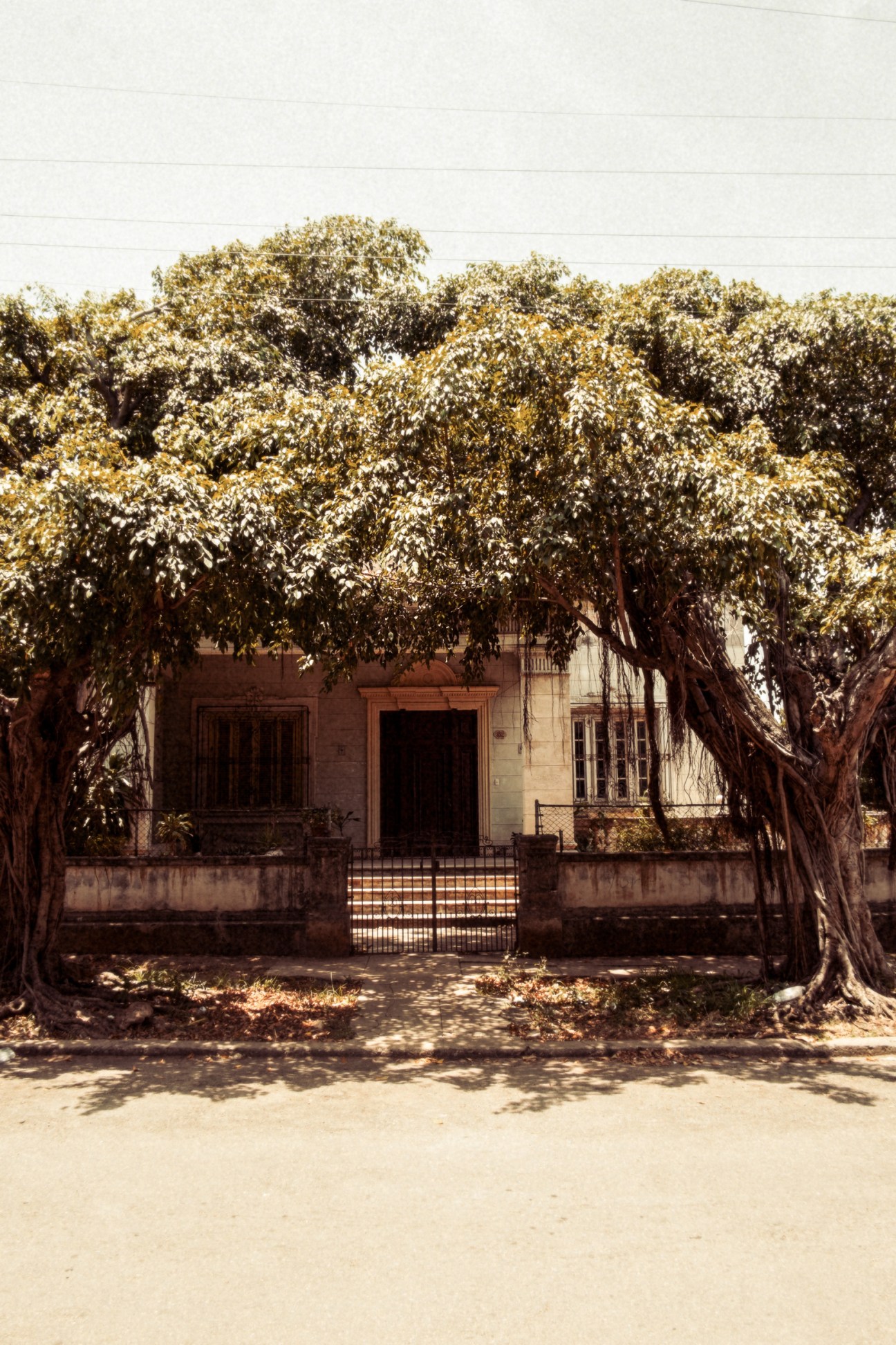 A two-story art deco villa with terracotta facade shaded by large leafy trees, featuring a metal gate at the entrance.