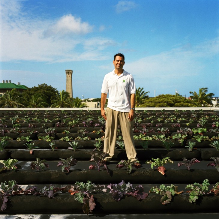 Man standing on a rooftop farm with rows of vegetables growing in black tube-like sacks under blue sky.