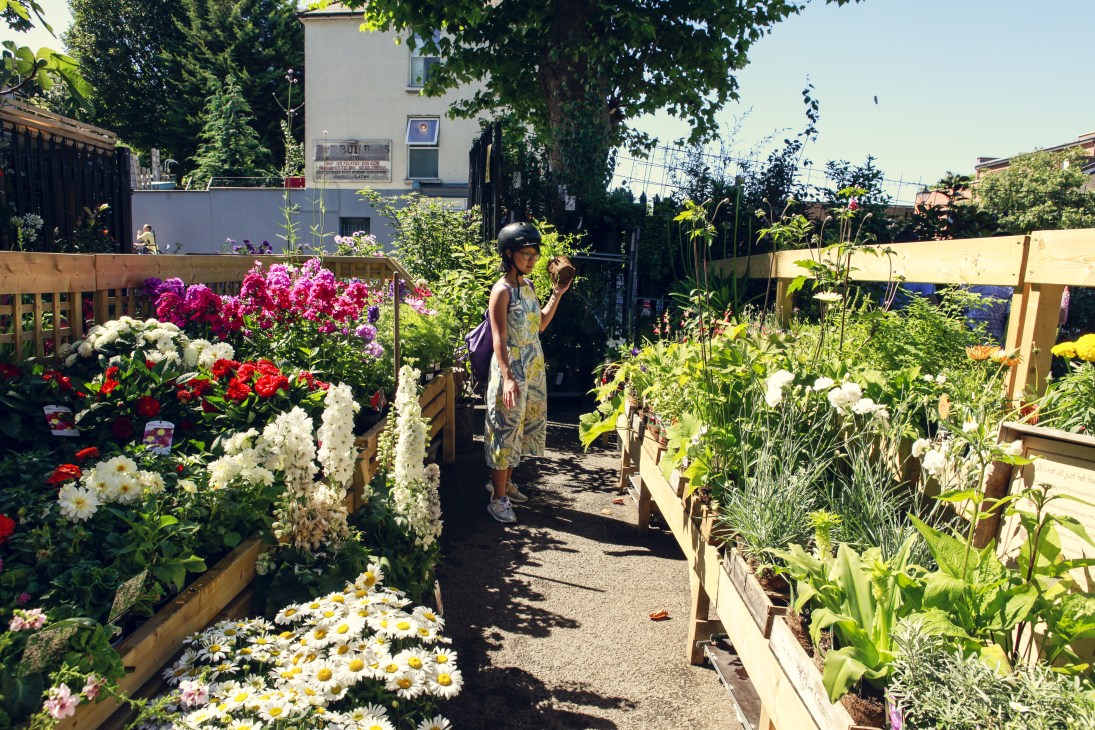 A woman walks through The Nunhead Gardener garden centre surrounded by colorful flowering plants in raised wooden beds.