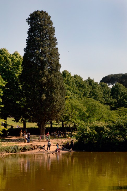 Visitors enjoy a shaded park with tall trees beside a body of water under clear skies.