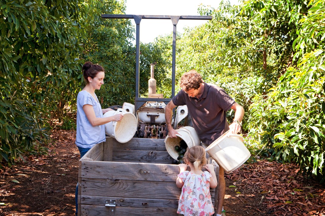 Katrina and Tim Myers with their daughter at Barham Avocados farm in Australia