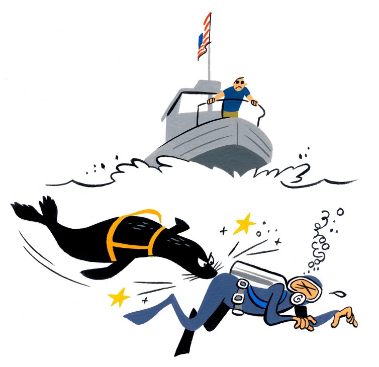 Illustration of a sea lion in military gear diving underwater near a naval vessel with a sailor on deck.
