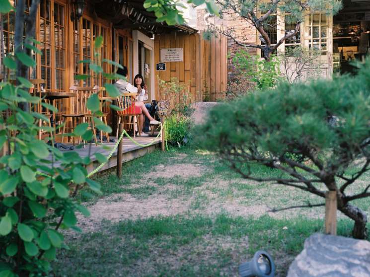 Woman sitting at wooden table outside a traditional Korean wooden structure with large windows and greenery.