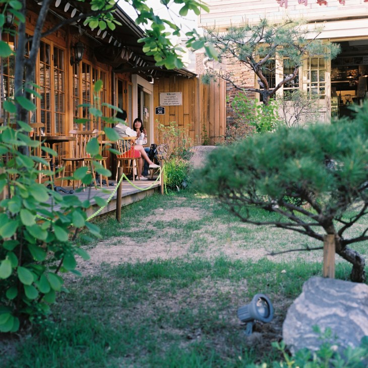 Woman sitting at wooden table outside a traditional Korean wooden structure with large windows and greenery.