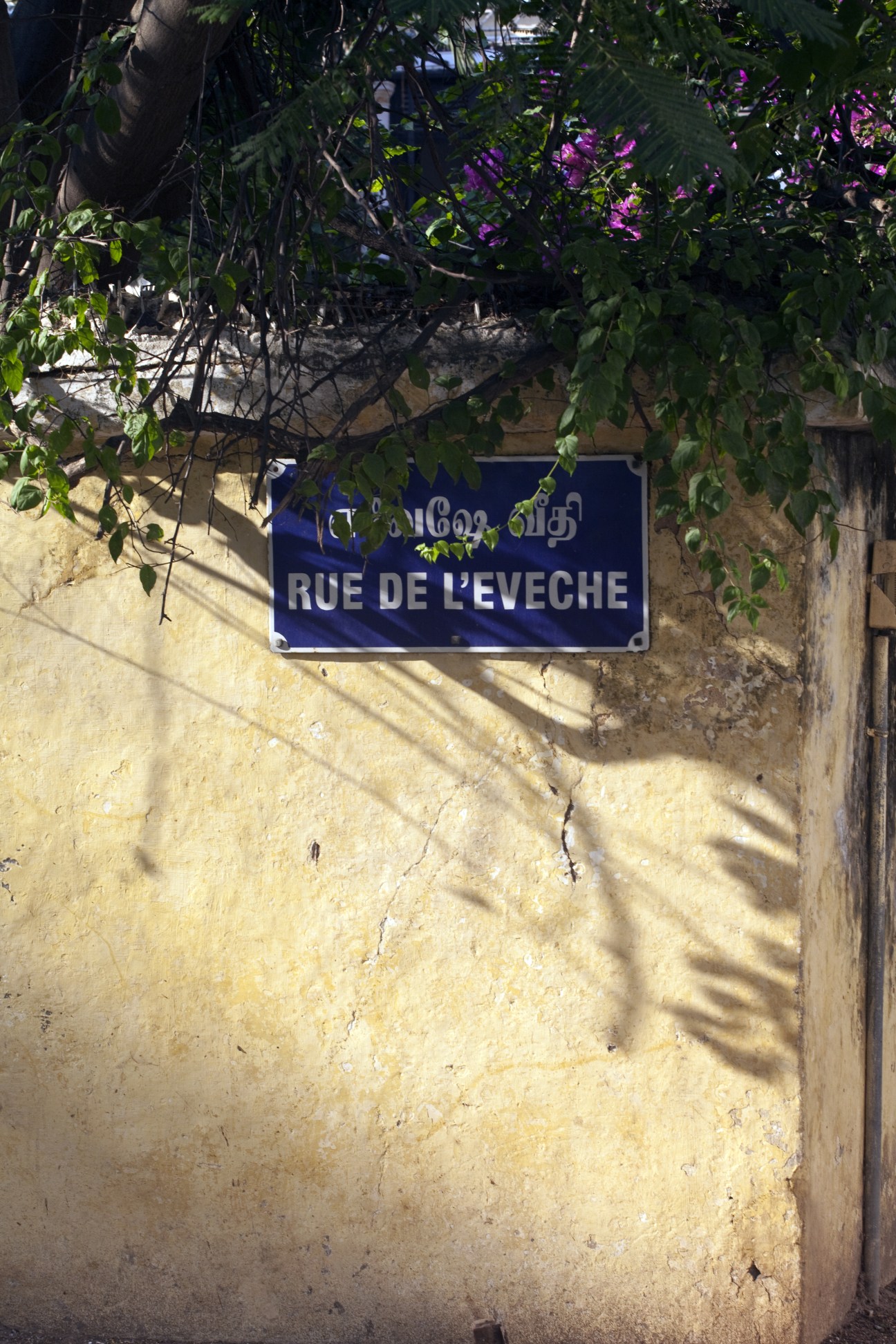 Blue street sign reading 'Rue de l'Evêche' in French and Tamil on a weathered yellow wall with flowering vines overhead.