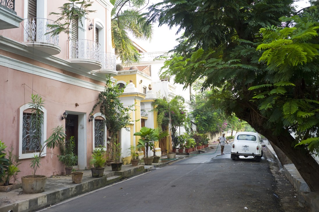 A tree-lined colonial street in Pondicherry with pastel-colored buildings and a man washing a white car.