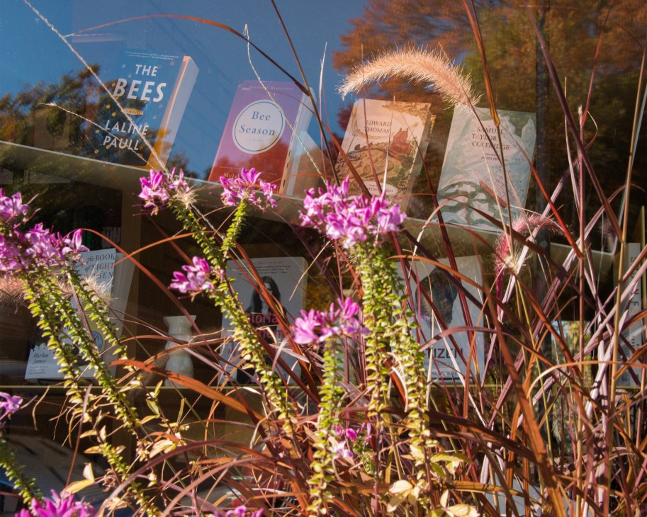 One Grand bookshop window display with curated books behind purple flowering plants
