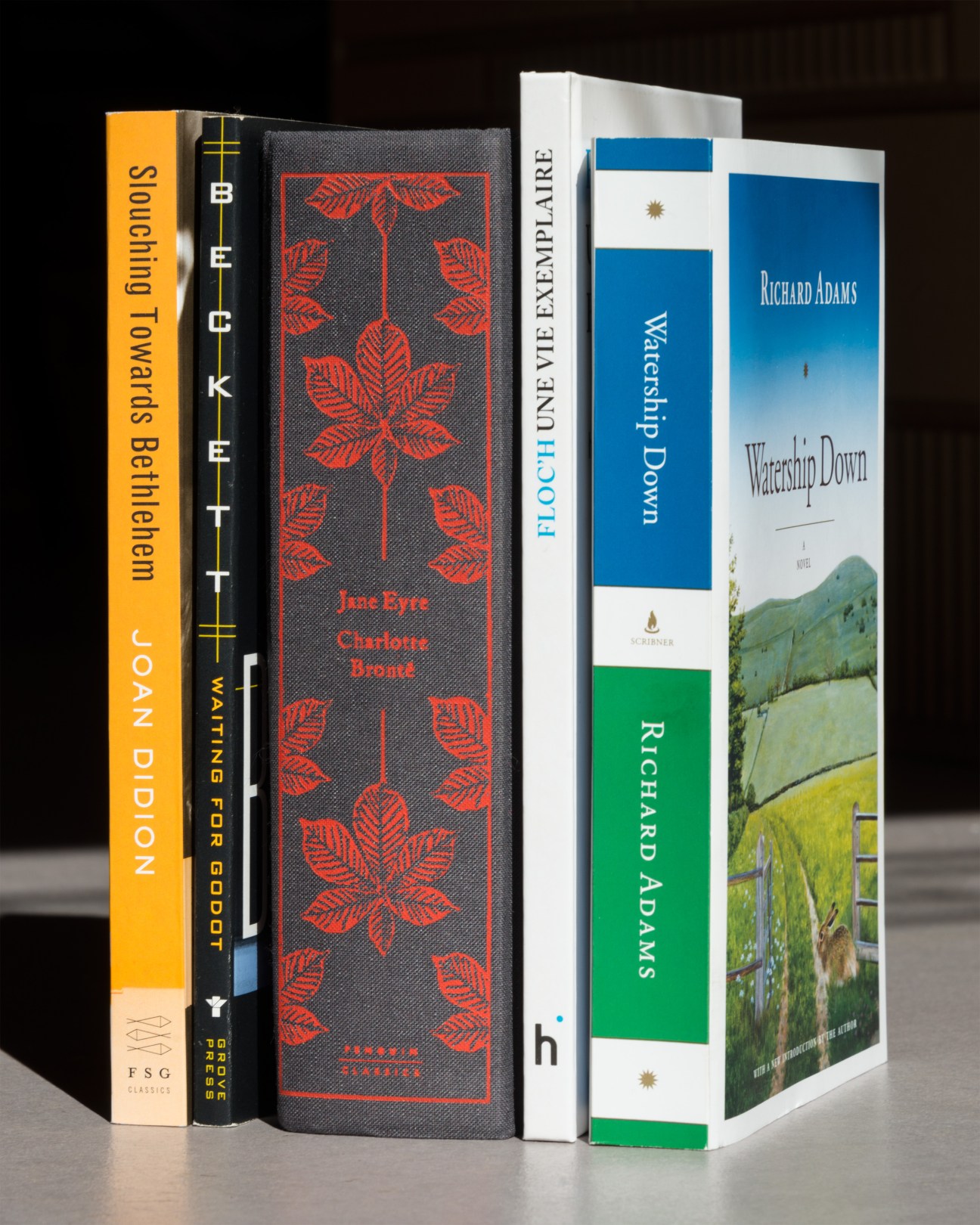 Stack of books including Watership Down by Richard Adams, displayed against a dark background.