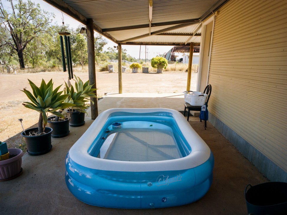 A blue inflatable pool under a corrugated metal awning in an arid outback setting with potted plants nearby.