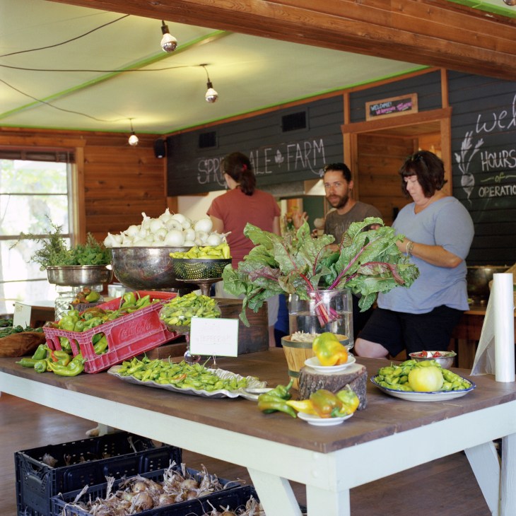 Produce display at Springdale Farm with fresh vegetables including peppers and leafy greens at a wooden counter.