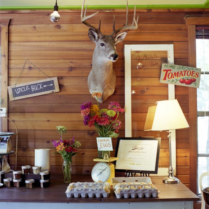Springdale Farm market display with taxidermied stag head, fresh flowers, eggs, and farm produce signs on wooden wall.