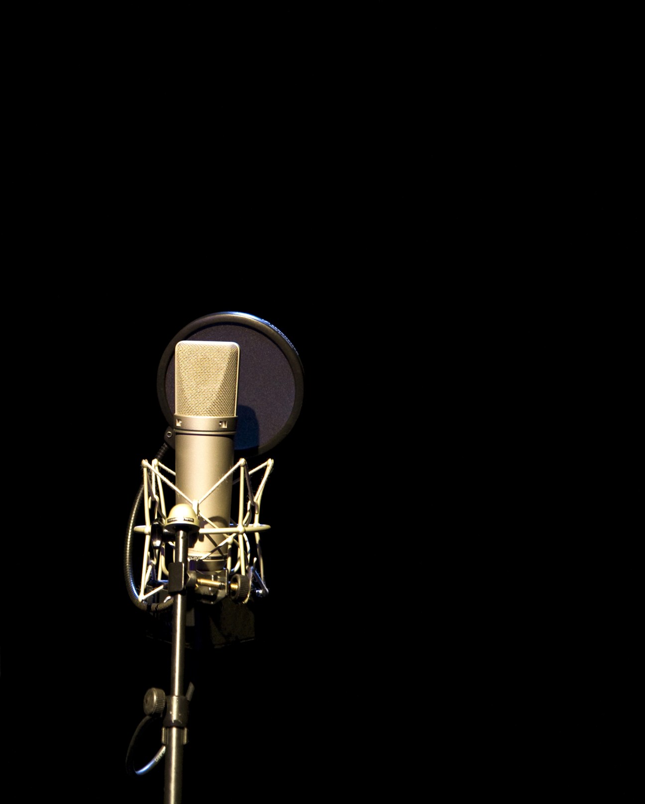 Neumann TLM 67 studio condenser microphone with gold mesh grille and shock mount against black background.