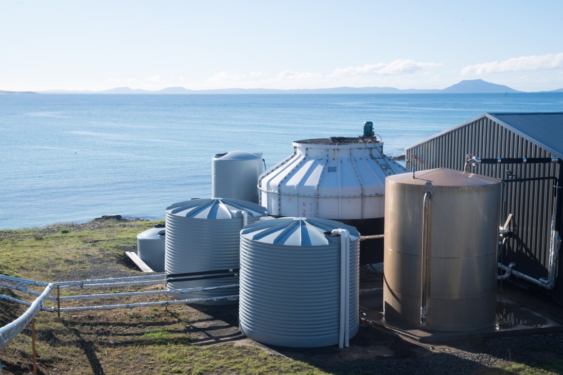 Silver evaporator tanks with blue-striped domes at Tasman Sea Salt farm overlooking the bay in Tasmania.
