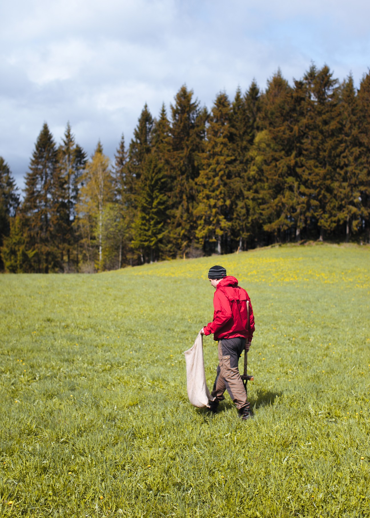 Person in red jacket carrying a natural jute bag across a green field with forest in background.
