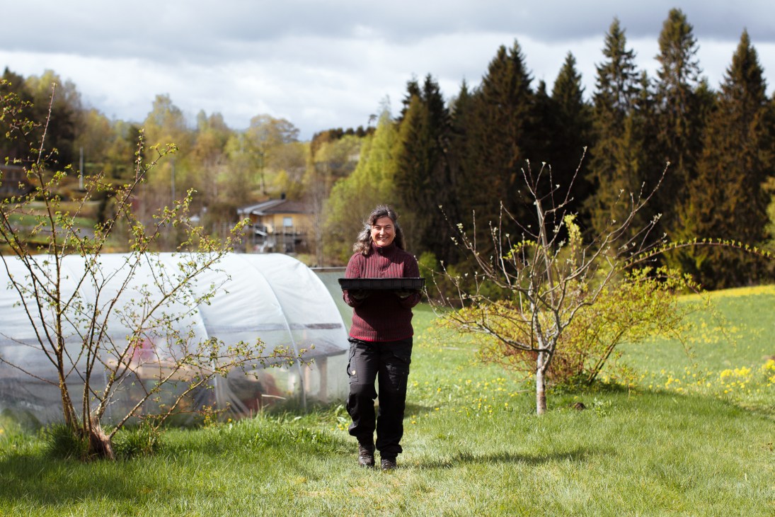 Farmer's wife Anne Gamper holding a box while standing in a field with young trees and a greenhouse in the background at Lislerud farm in Norway.