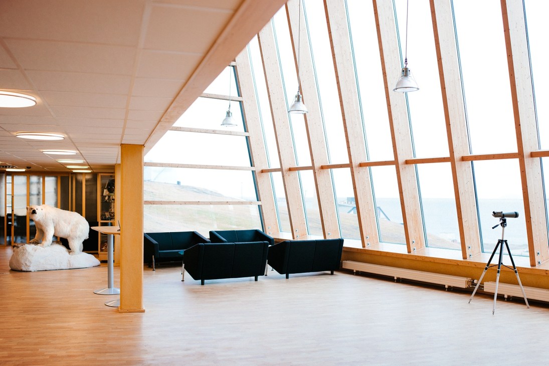 Interior of a modern building with angled wooden-framed windows, dark seating, wooden flooring, and a polar bear sculpture.