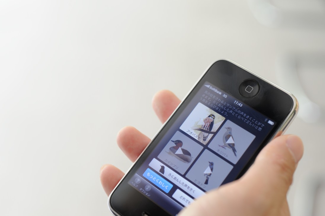 Hand holding an iPhone displaying Kajima's bird and wildlife sound recognition app with bird species photos.