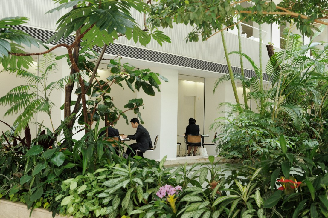 Kajima staff hold meetings in a lush green atrium filled with tropical plants and flowers.