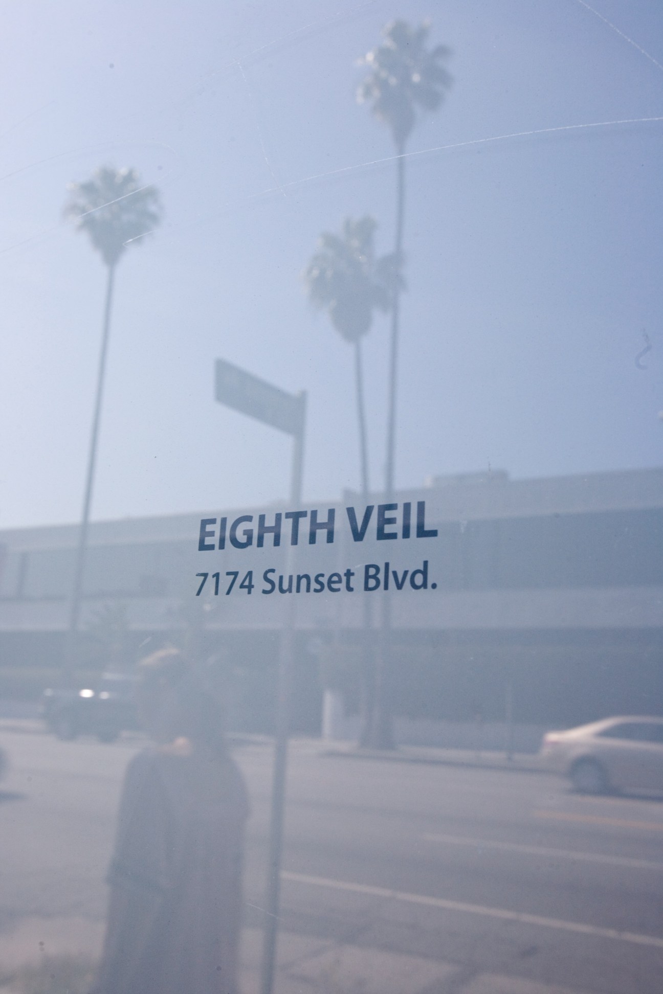 Eighth Veil gallery storefront sign on Sunset Boulevard in Los Angeles with palm trees reflected in window.