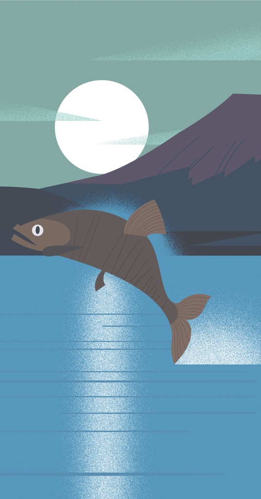 Illustration of a deepwater salmon swimming beneath layered water and mountain landscape with a full moon above.
