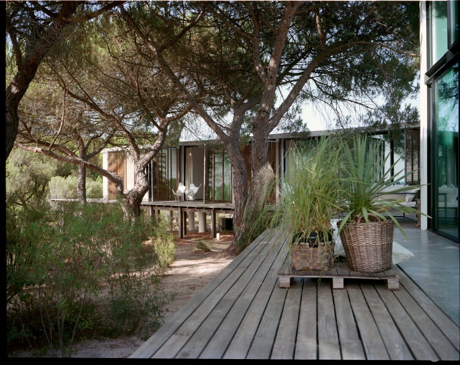 Architect Pedro Ferreira Pinto's house with wooden deck, louvered screens, and mature pine trees in Comporta.