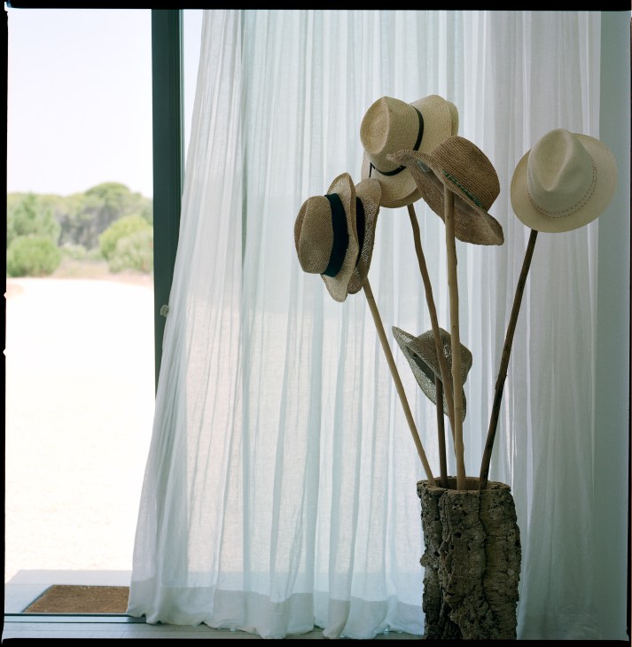 Straw hats displayed on tall stems in a rustic vase by a window with sheer curtains overlooking landscape.