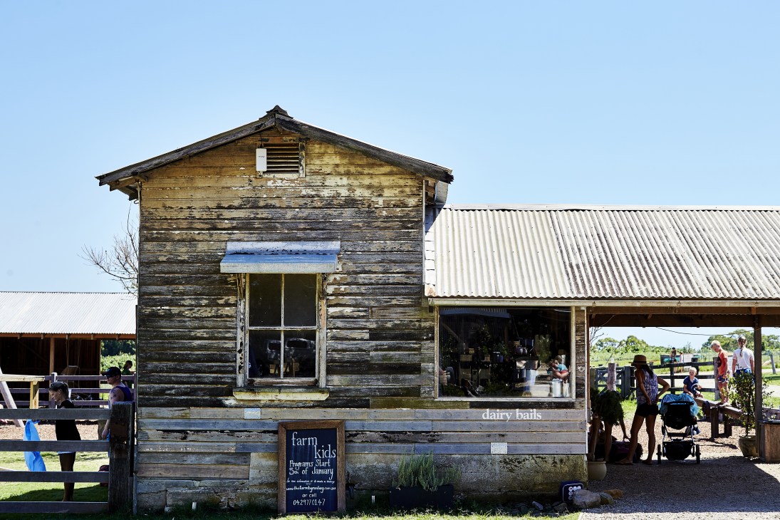Weathered wooden farm building with corrugated metal roof and signage for dairy bar and farm kids activities.